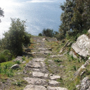 NID-3302_DSCF9790.jpg