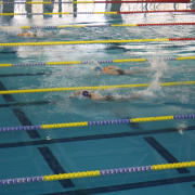 NID-3338_orszagos_uszas_olimpia16.JPG