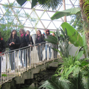 NID-3316_Nagykaroly2012-022.jpg