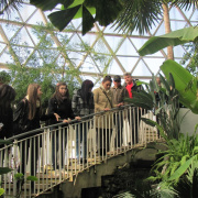 NID-3316_Nagykaroly2012-023.jpg