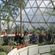 NID-3316_Nagykaroly2012-026.jpg