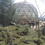 NID-3316_Nagykaroly2012-030.jpg
