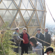 NID-3316_Nagykaroly2012-031.jpg