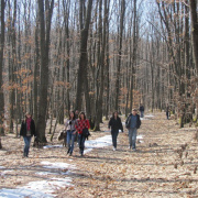 NID-3316_Nagykaroly2012-040.jpg