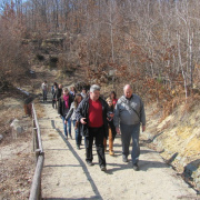 NID-3316_Nagykaroly2012-045.jpg