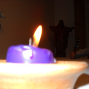 NID-3384_DSCN0375.jpg
