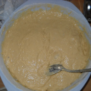 NID-3405_DSCN0690.jpg