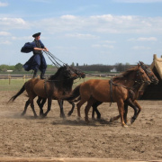 NID-3401_IMG_1322.jpg
