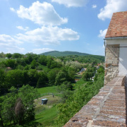 NID-3423_P1010610.jpg