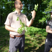 NID-3423_P1010624.jpg