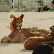 NID-3461_IMG_4661.jpg