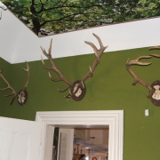 NID-3487_DSCF1345.JPG