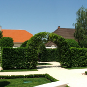 NID-3487_DSCF1422.JPG