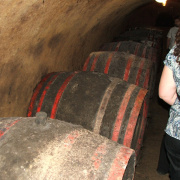 NID-3487_DSCF1457.JPG