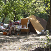 NID-3553_tiszaug2012-01.jpg