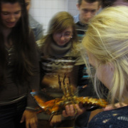 NID-4089_biologia_szakkor10.JPG