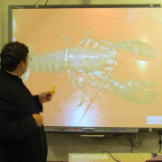 NID-4089_biologia_szakkor17.JPG