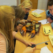NID-4089_biologia_szakkor19.JPG