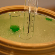 NID-4209_nyilt_nap_gimnazium 175.JPG