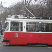 Becs 174.JPG