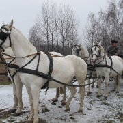 NID-4295_Parizs_Pontoise126.JPG