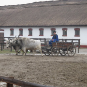 NID-4295_Parizs_Pontoise168.JPG
