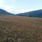 NID-3559_Bukkzserc05.jpg