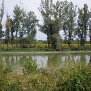 NID-3552_golyatabor132.JPG