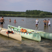 NID-3552_golyatabor237.JPG