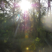 NID-3603_piknik 048.JPG