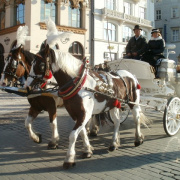 NID-3693_Krakko00233.JPG