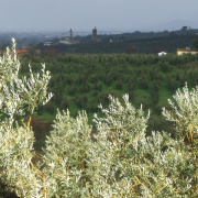 NID-4397_DSCF0742.jpg