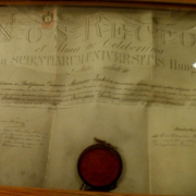 NID-4458_tortenelem_verseny36.JPG