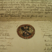 NID-4458_tortenelem_verseny38.JPG