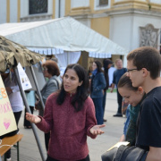NID-4532_varosmisszio076.JPG