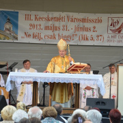 NID-4532_varosmisszio173.JPG
