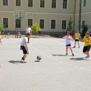 NID-4566_alsos_focibajnoksag08.JPG