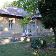 NID-4578_piknik053.JPG