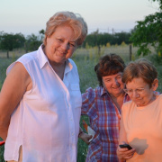 NID-4578_piknik234.JPG