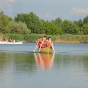 NID-4574_enekkar_Tiszaugon032.JPG