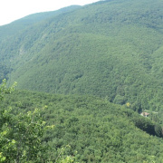 Bukk_03.jpg