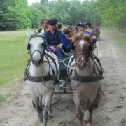 NID-4599_IMG_3078.JPG