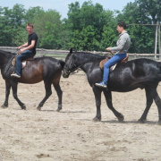 NID-4599_IMG_3084.JPG