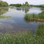 NID-4610_20130701-06_Balaton_kerekpar_30.jpg