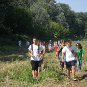 NID-4639_NID-4639_golyatabor079.JPG