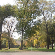 NID-4867_image045.jpg