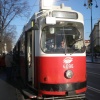 NID-5214_Becs021.JPG