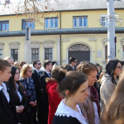 NID-5312_koszoruzas26.JPG