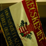 NID-5316_DSCN1539.JPG