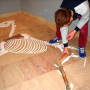 NID-5325_DSCN1558.JPG